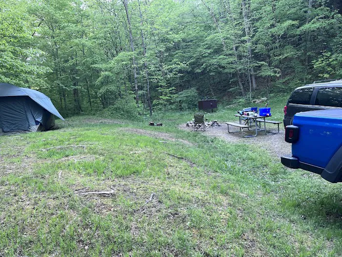 Diehl Cabins/Campsites, Allegany State Park 3
