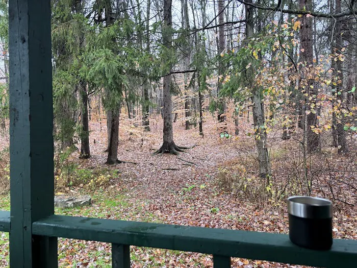 Diehl Cabins/Campsites, Allegany State Park 8