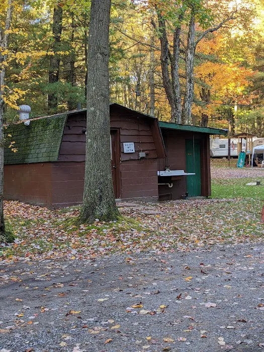 Colors of the Forest RV Resort and Campground 8