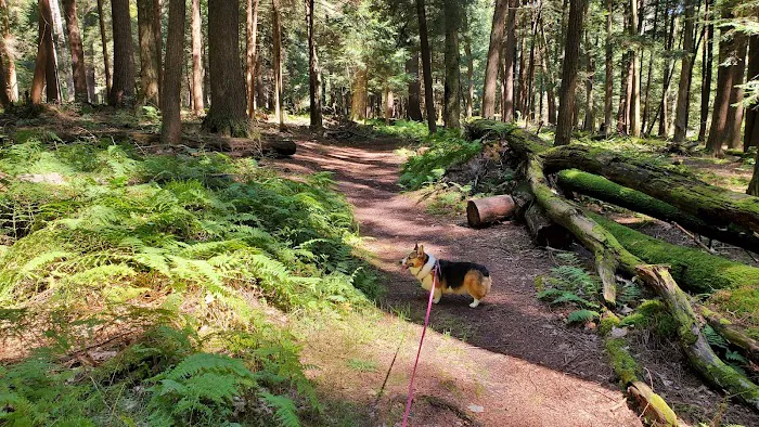 Ridge Campground At Cook Forest 0