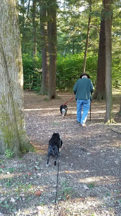Ridge Campground At Cook Forest 4