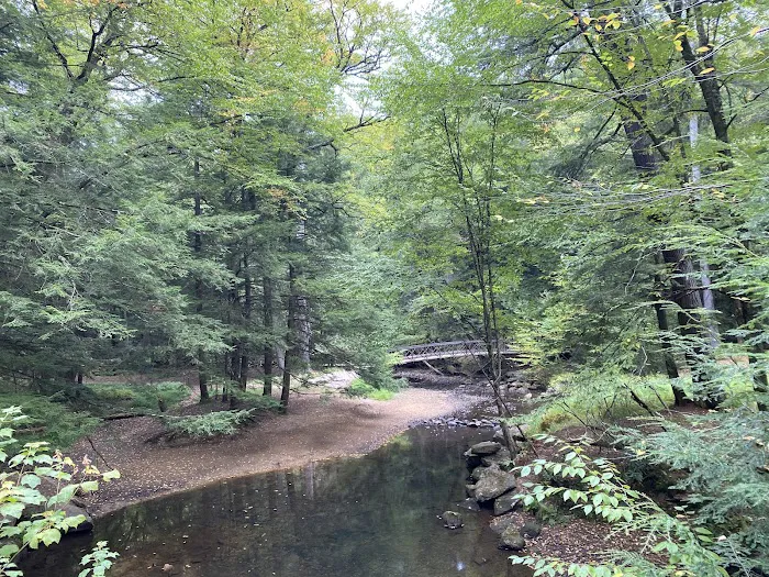 Ridge Campground At Cook Forest 8