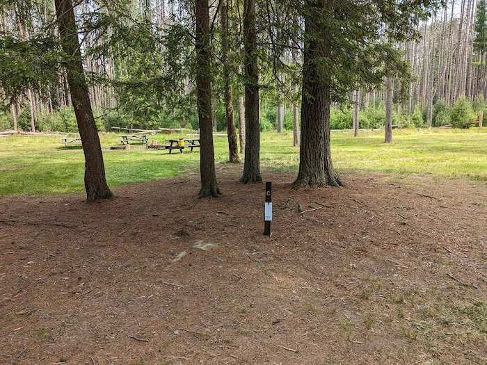 Cook Forest Group Sites 1