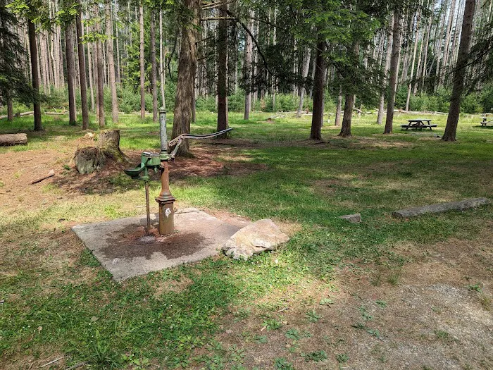 Cook Forest Group Sites 6