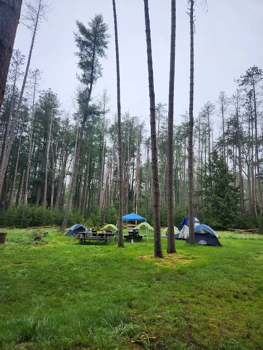 Cook Forest Group Sites 7