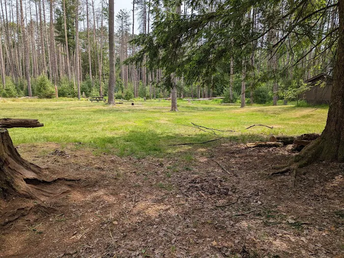Cook Forest Group Sites 5