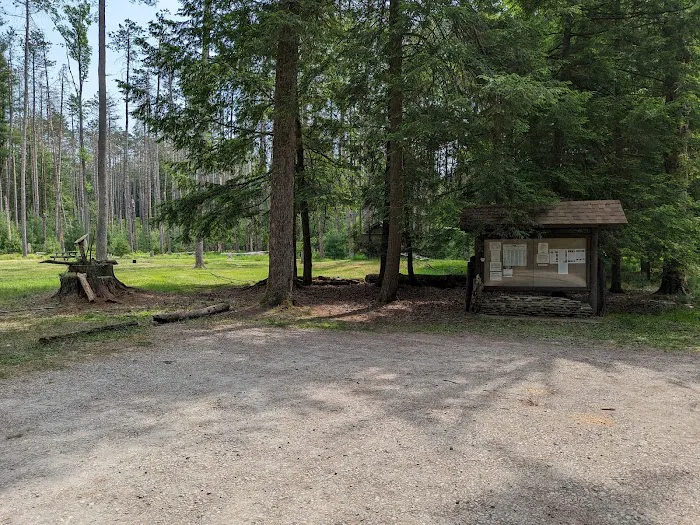 Cook Forest Group Sites 3