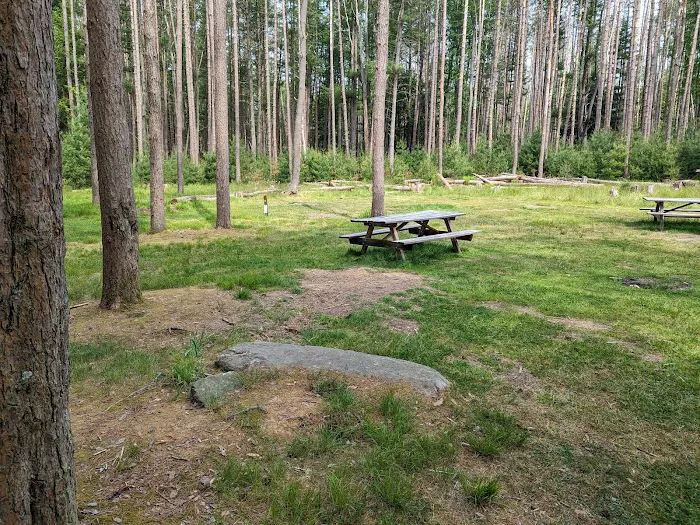 Cook Forest Group Sites 4
