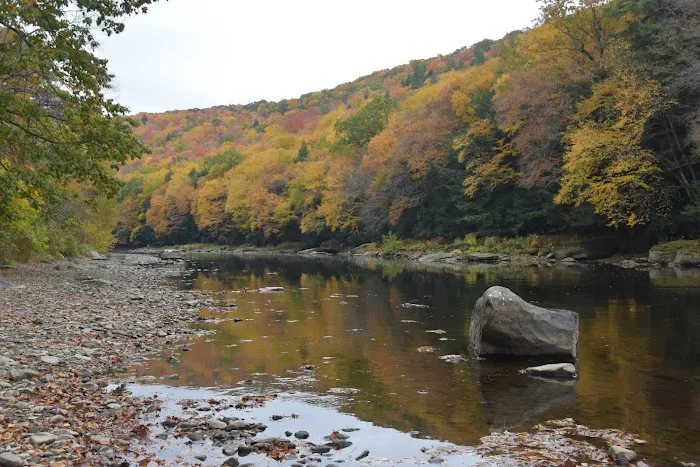 Clarion River Campground 6