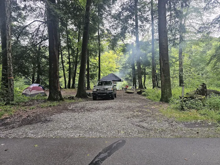 Clarion River Campground 5