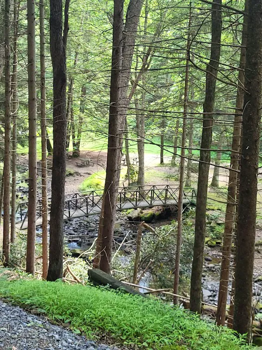 Clarion River Campground 1