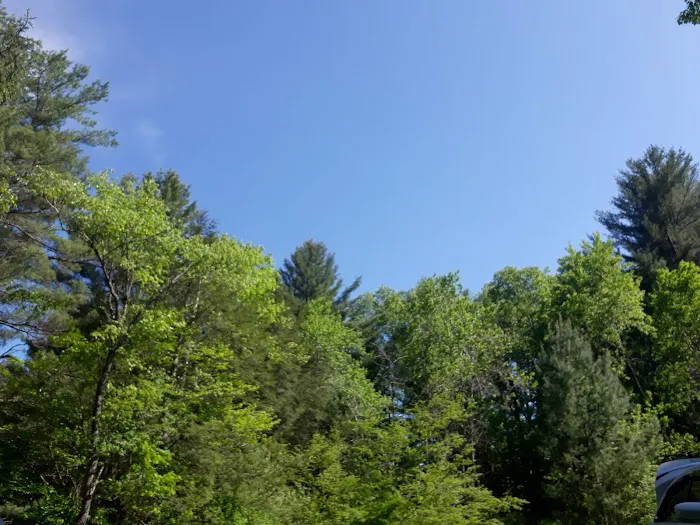 Hemlock Lakes Campground 6