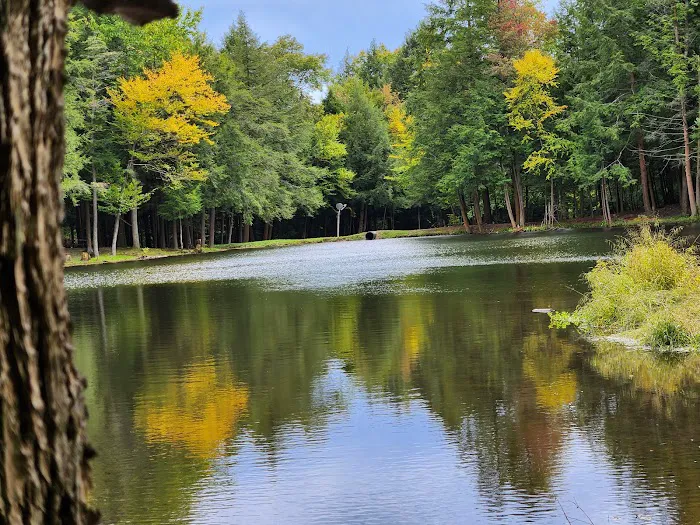 Hemlock Lakes Campground 7