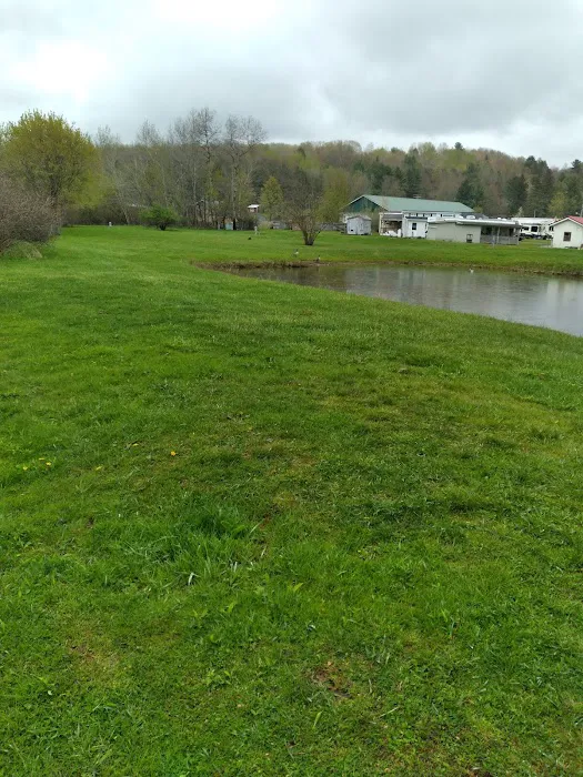 Harecreek Campground 4