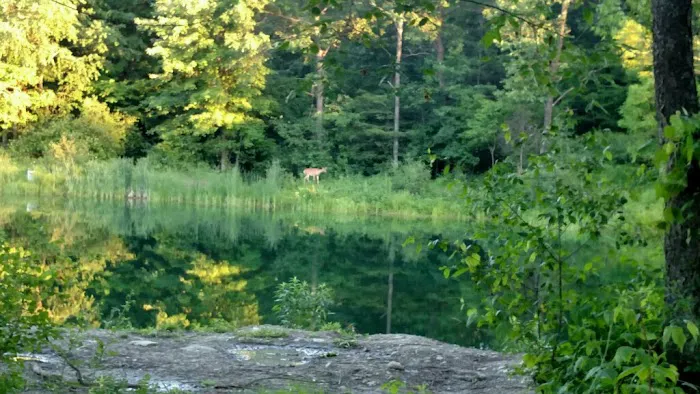 Leisure Lake Campground 4