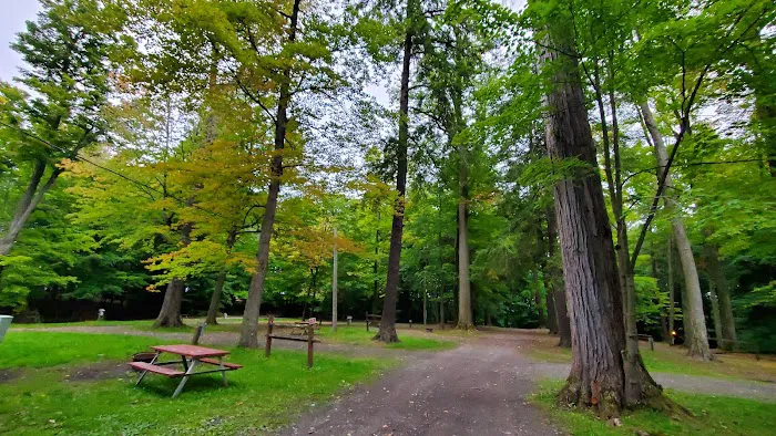 Camp Chautauqua 0