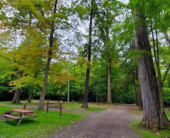 Camp Chautauqua
