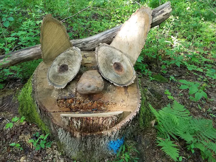 Brushwood Folklore Center, LLC 9