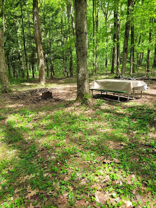 Wildwood Acres Campground 2