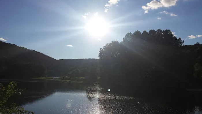 Lou's Camp 2