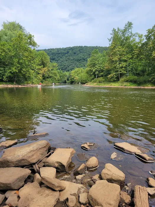 Tionesta Recreation Area Campground 2