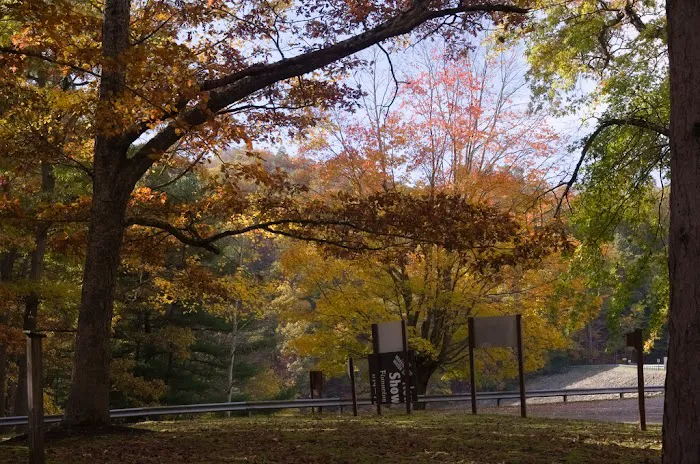 Tionesta Recreation Area Campground 8