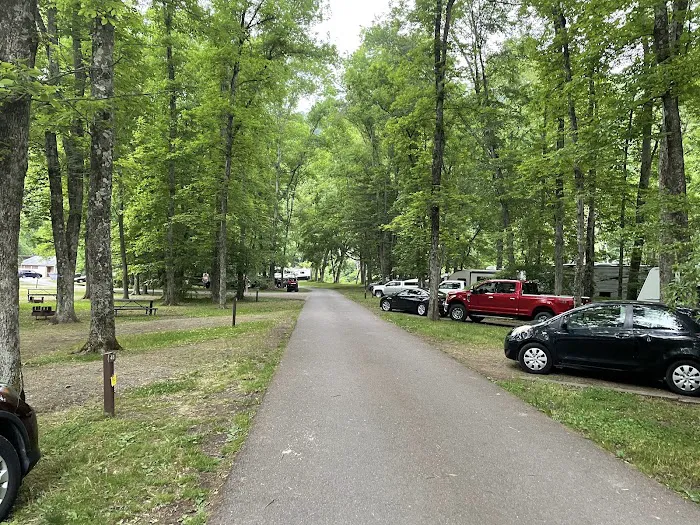 Tionesta Recreation Area Campground 7