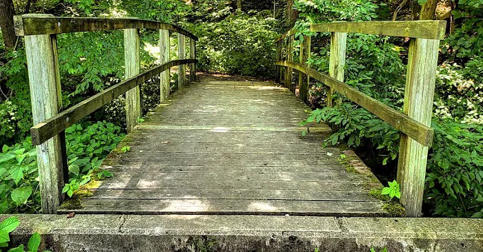 Tionesta Recreation Area Campground 1