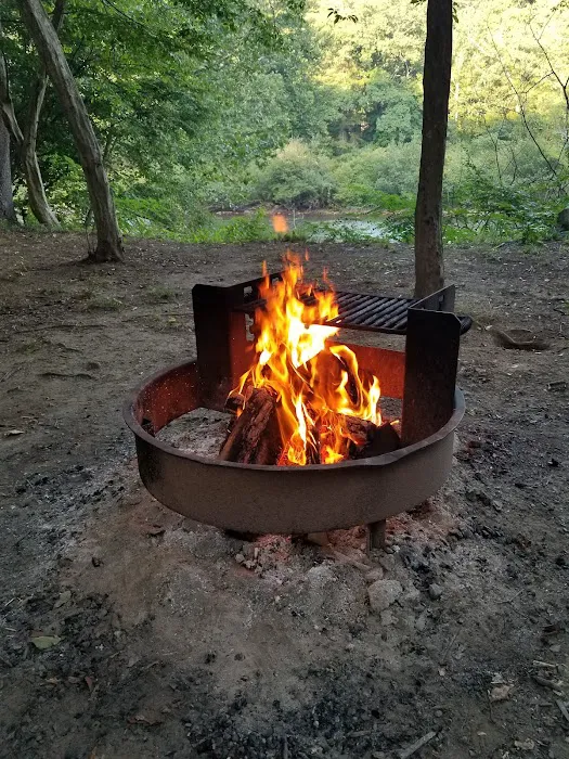 Outflow Recreation Area Campground 6