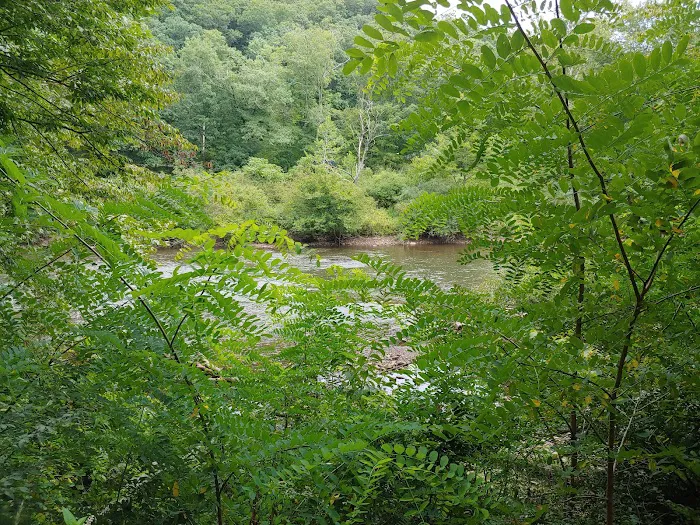 Outflow Recreation Area Campground 5