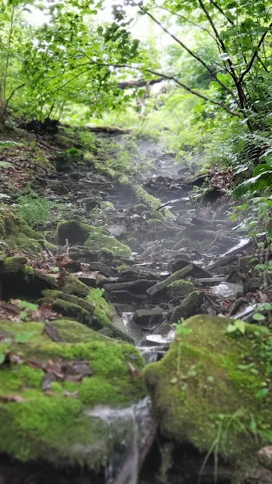 Outflow Recreation Area Campground 4