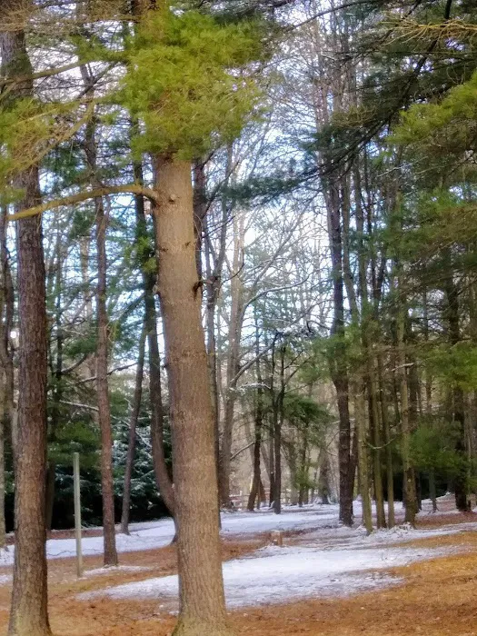Double R Campground 7