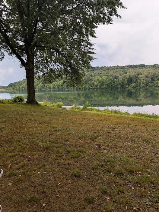 Two Mile Run Campground 1
