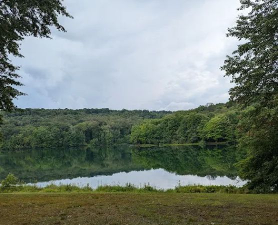 Two Mile Run Campground