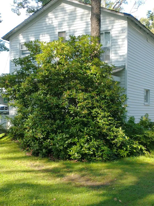 Pleasantville Camp 3