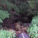 Wesleyan Methodist Campground