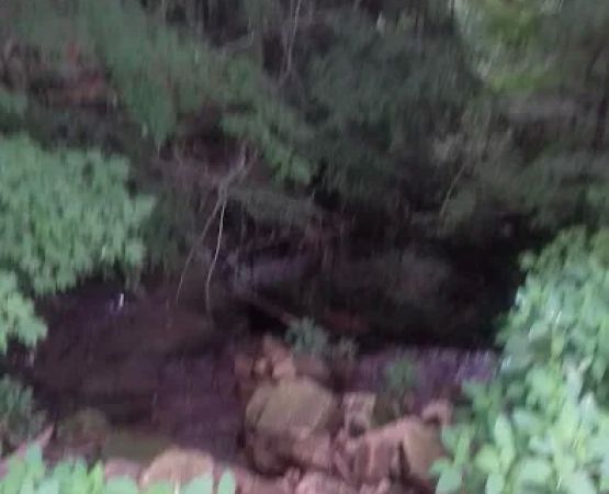 Wesleyan Methodist Campground