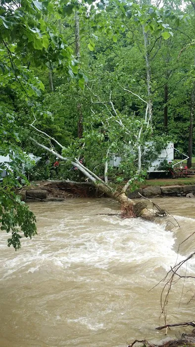 Marlowe's Scenic River Campground 4