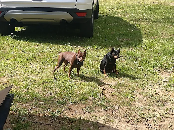 Marlowe's Scenic River Campground 3