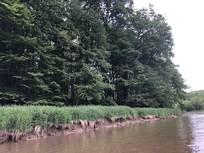 Marlowe's Scenic River Campground 5