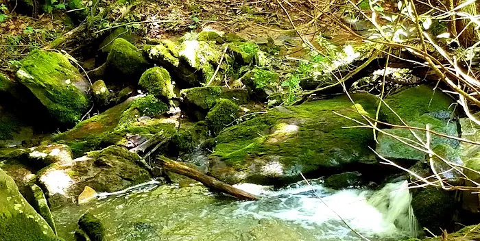 Copperhead Retreat 1