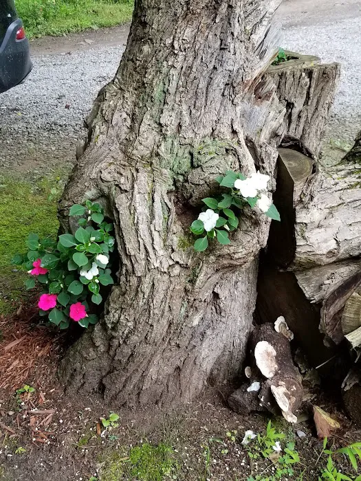 Copperhead Retreat 2
