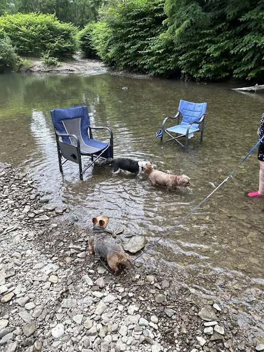 Lazy Acres Campgrounds 6