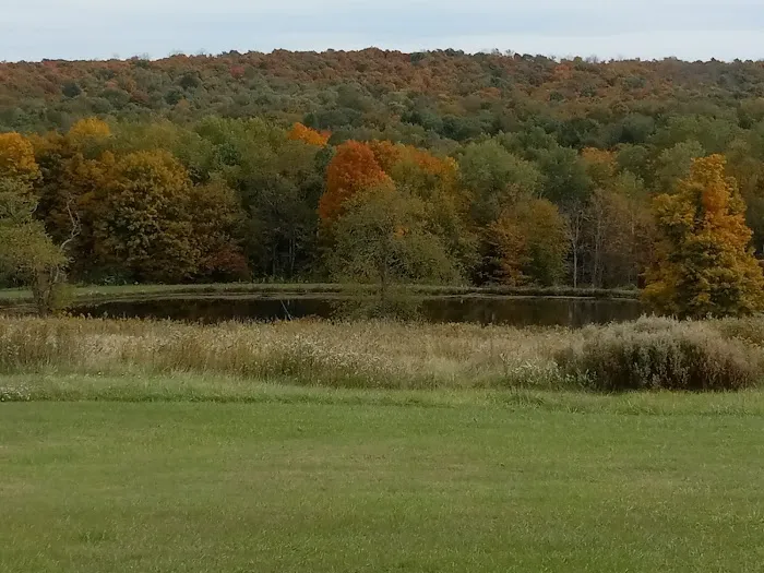 Campers Hill 1