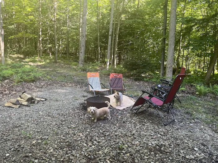 Chautauqua Gorge Campground 6