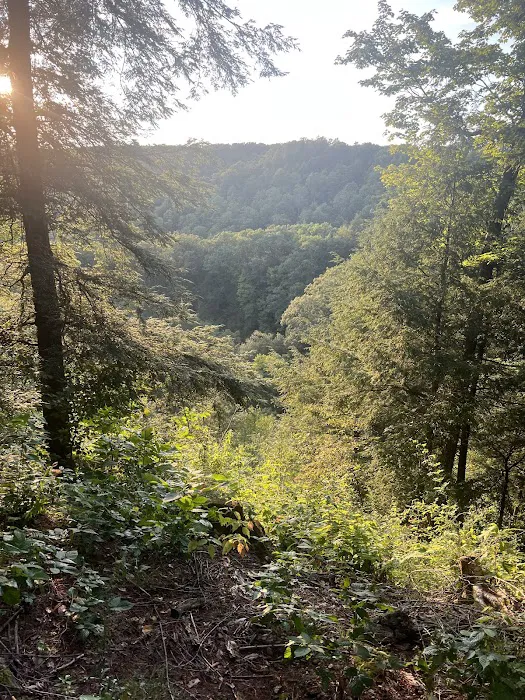Chautauqua Gorge Campground 4