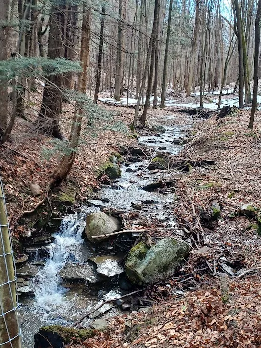 Chautauqua Gorge Campground 9