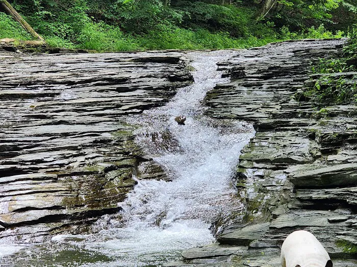Chautauqua Gorge Campground 0