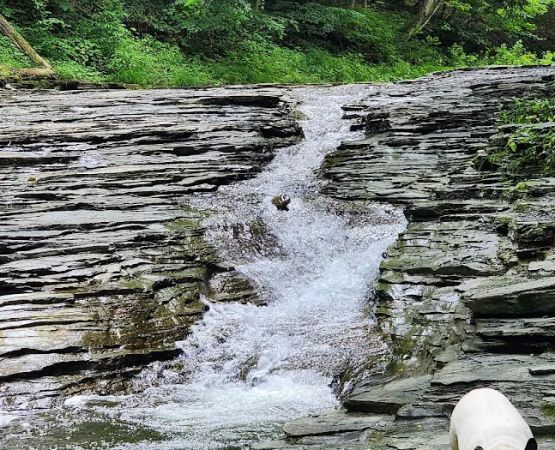 Chautauqua Gorge Campground