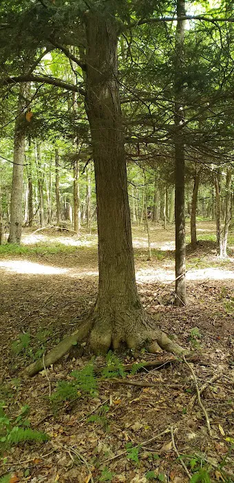 Oxbo Campground 3